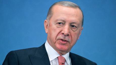 Турция готова поддержать возрождение Черноморской зерновой инициативы - Кремль