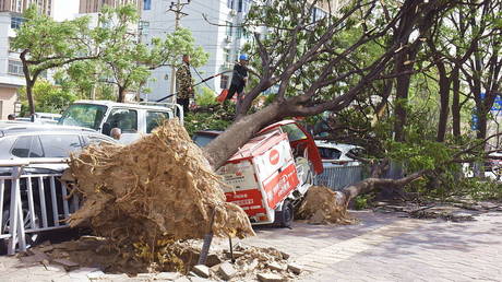Штормовой апокалипсис в Китае: ветер до 150 км/ч валит деревья и угрожает пешеходам