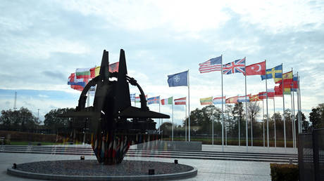 Европа в тревоге: сближение США с Россией грозит расколом в НАТО