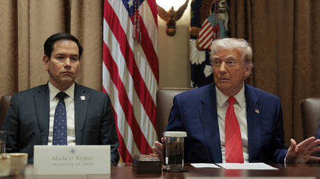 Трамп готов объявить перемирие на Украине: США угрожают "умыть руки" в случае отказа сторон