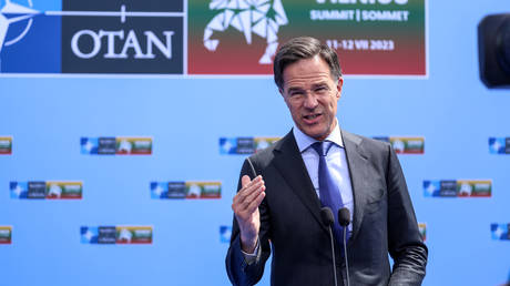 Балтийское и Черное моря являются "зонами НАТО" - Рютте