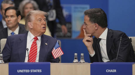 Трамп "убедил" Европу платить: как НАТО согласилась тратить 5% ВВП на оборону