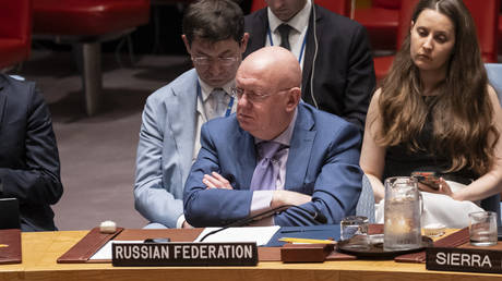 Небензя: Украина — лишь инструмент в многовековой войне Запада против России