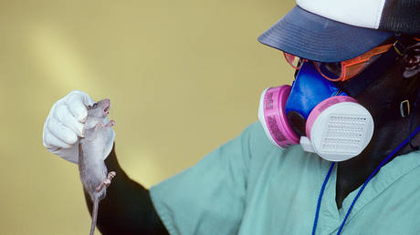 Вспышка лихорадки Ласса в Нигерии: Летальность приближается к 19%, эксперты бьют тревогу