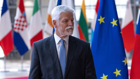 Петр Павел: Европе пора начать диалог с Россией после завершения конфликта на Украине