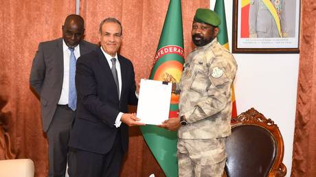 Египет предложил странам Сахеля поделиться опытом борьбы с терроризмом и укрепить сотрудничество