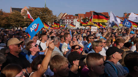 Альтернатива для Германии смягчает риторику: Стратегия умеренности перед вызовами будущего