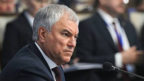 «Победа или порабощение»: Володин призвал к единству для достижения целей спецоперации