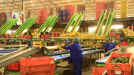 ЮАР ответила на пошлины США: «Торговый дефицит» не учитывает взаимную выгоду, переговоры продолжаются