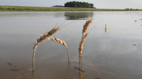 Стихия бушует: Литва и Латвия вводят ЧС из-за разрушительных дождей