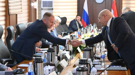 Россия и Египет создают зону льгот: 49 лет налоговых преференций для российского бизнеса