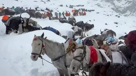 Снежная ловушка на Эвересте: сотни туристов заблокированы, спасатели работают на высоте 5000 метров