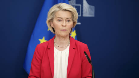 Урсула фон дер Ляйен обвиняет Россию в давлении накануне вотумов недоверия