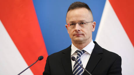 Будапешт обвиняет Киев в незаконной попытке мобилизации венгерских студентов