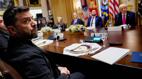 Киев исключил аудит помощи из проекта мирного плана, добившись амнистии