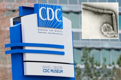 Первая жертва нового штамма: В США зафиксирована смерть от птичьего гриппа H5N5