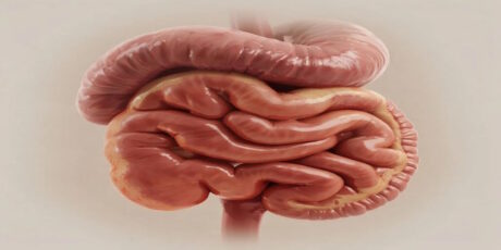 Системный подход к сохранению функций желудка