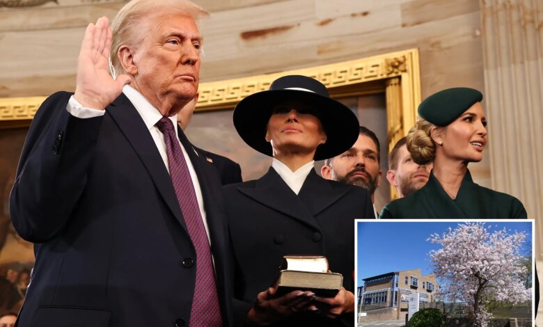 "Оруэлловский кошмар" в Оксфордшире: Учителя объявили "террористом" за показ видео Трампа