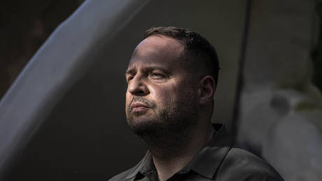 Экс-пресс-секретарь Зеленского заявила о страхе перед его бывшим правой рукой