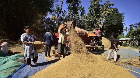 Индия твердо стоит на своем: нет открытия рынка для американских сельскохозяйственных продуктов