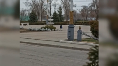 Неудавшийся теракт в Ростовской области: 16-летняя школьница стала жертвой онлайн-мошенников