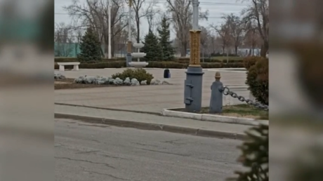 Неудавшийся теракт в Ростовской области: 16-летняя школьница стала жертвой онлайн-мошенников