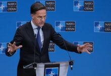 «Умный политик говорит вздор»: Путин раскритиковал риторику генсека НАТО