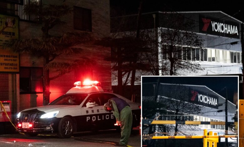 ТРАГЕДИЯ НА ШИННОМ ЗАВОДЕ: Массовое нападение в Японии с применением ножа и химикатов