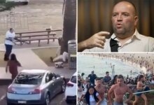 Паника на Бонди-Бич: как сириец спас десятки жизней во время теракта в Сиднее