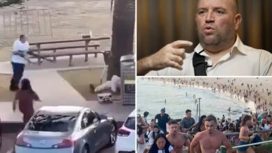 Паника на Бонди-Бич: как сириец спас десятки жизней во время теракта в Сиднее