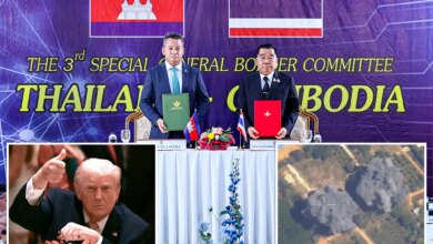 Почти как ООН: Трамп вновь заявил о прекращении боев Таиланда и Камбоджи