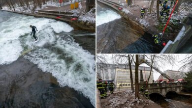 Волновая лихорадка: От тайного балка до бюрократического тупика в Мюнхене