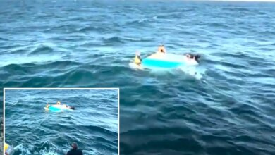 Рождественское Чудо в Заливе: Море Наказало Легкомыслие