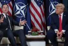 Отказ от тарифов в обмен на базы: Трамп предложил новый формат контроля над Гренландией