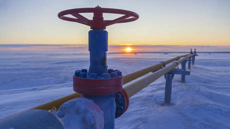 ЕС одобрил полный запрет на импорт российского газа