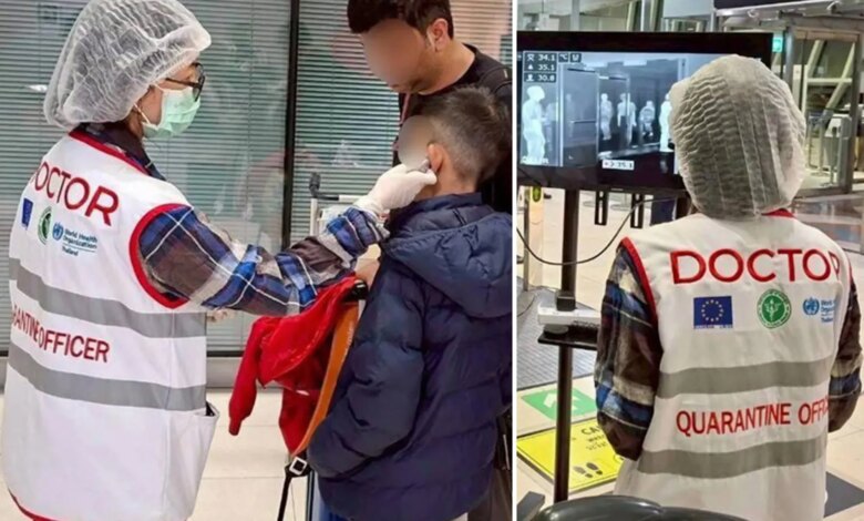 Азиатские страны бьют тревогу из-за вспышки смертельного вируса Нипах