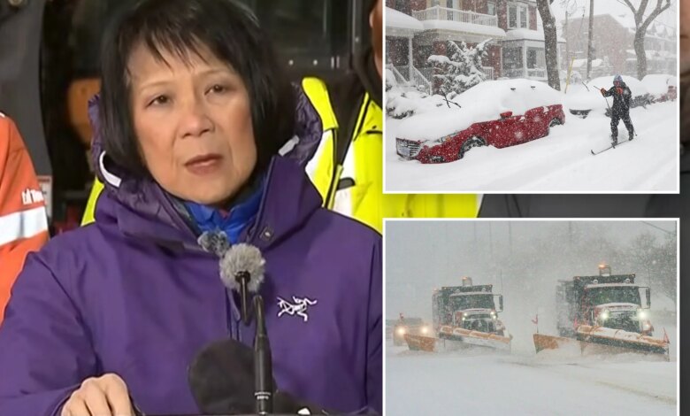 Мэр Торонто попал в неловкую ситуацию из-за ошибки с метрами и сантиметрами