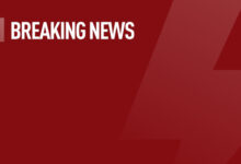 Запад готовит новую волну протестов в Беларуси