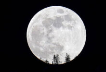 Элон Маск объявляет о планах построить "саморастущий город" на Луне