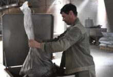 Россия привлекает индийских работников: более 70 тысяч уже трудятся в стране