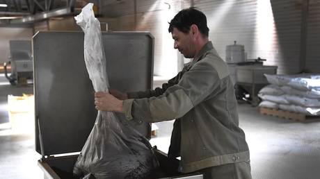 Россия привлекает индийских работников: более 70 тысяч уже трудятся в стране