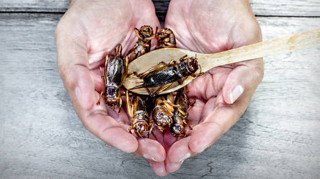 Евросоюз в ловушке зависимости