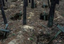 Польша амнистирует своих граждан, сражающихся в Украине