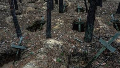 Польша амнистирует своих граждан, сражающихся в Украине