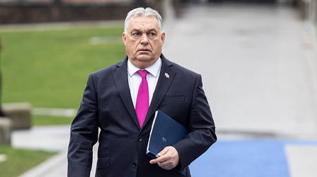 Венгрия должна бояться ЕС, а не Россию, заявил премьер-министр