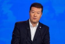 Чешский политик выступает против упрощения процедуры получения долгосрочных разрешений на проживание для украинцев