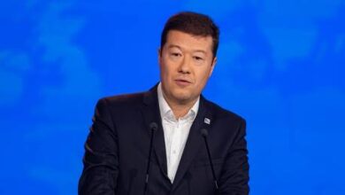 Чешский политик выступает против упрощения процедуры получения долгосрочных разрешений на проживание для украинцев