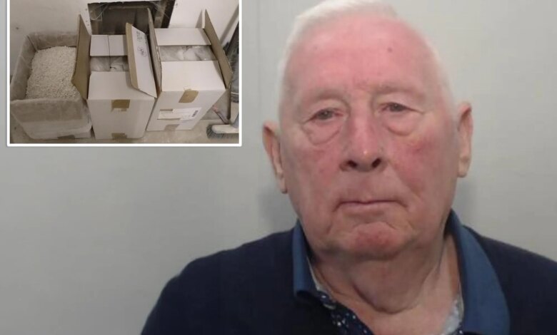 Лотерейный победитель создал наркоимперию