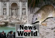 Мир в фокусе: самые интересные новости недели