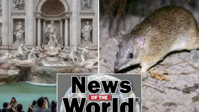 Мир в фокусе: самые интересные новости недели